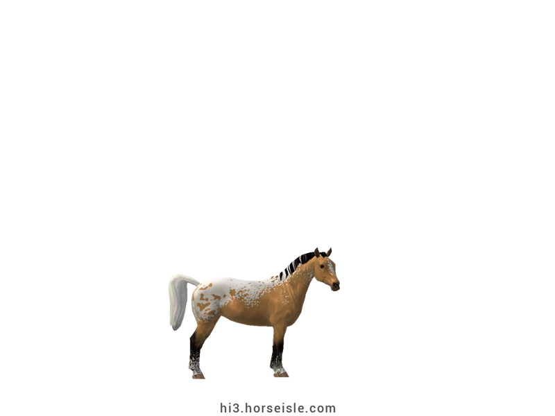 American Miniature Horse Linebacked Buckskin Blanket Coat